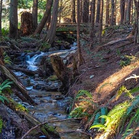 Forest Haven Hideaway Roberts Creek Exteriér fotografie