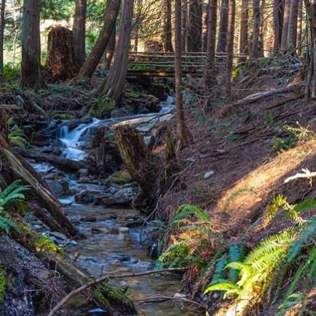Forest Haven Hideaway Roberts Creek Exteriér fotografie