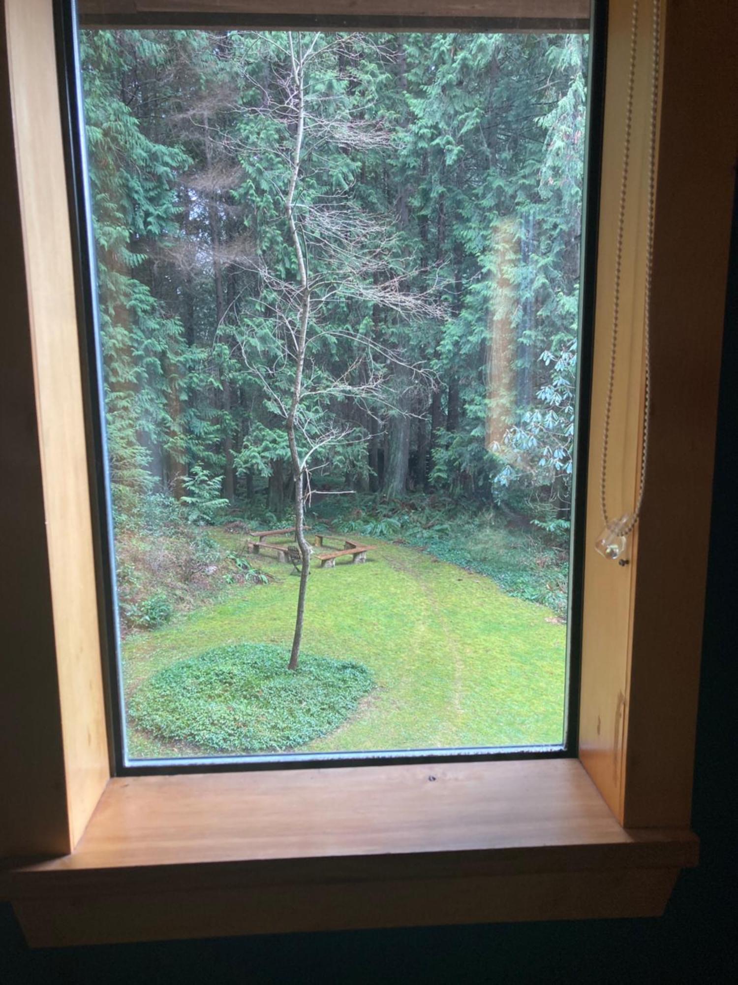 Forest Haven Hideaway Roberts Creek Exteriér fotografie